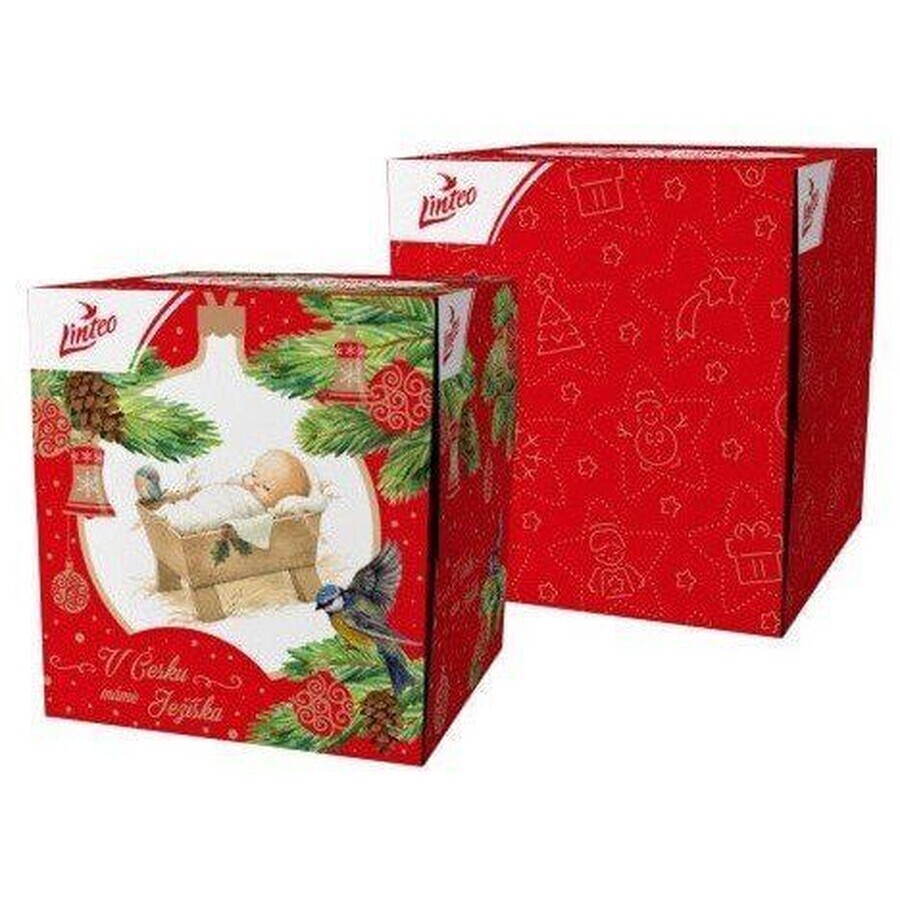 Linteo paper handkerchiefs Linteo Linteo BOX, 3 layers - Christmas design 60 pcs