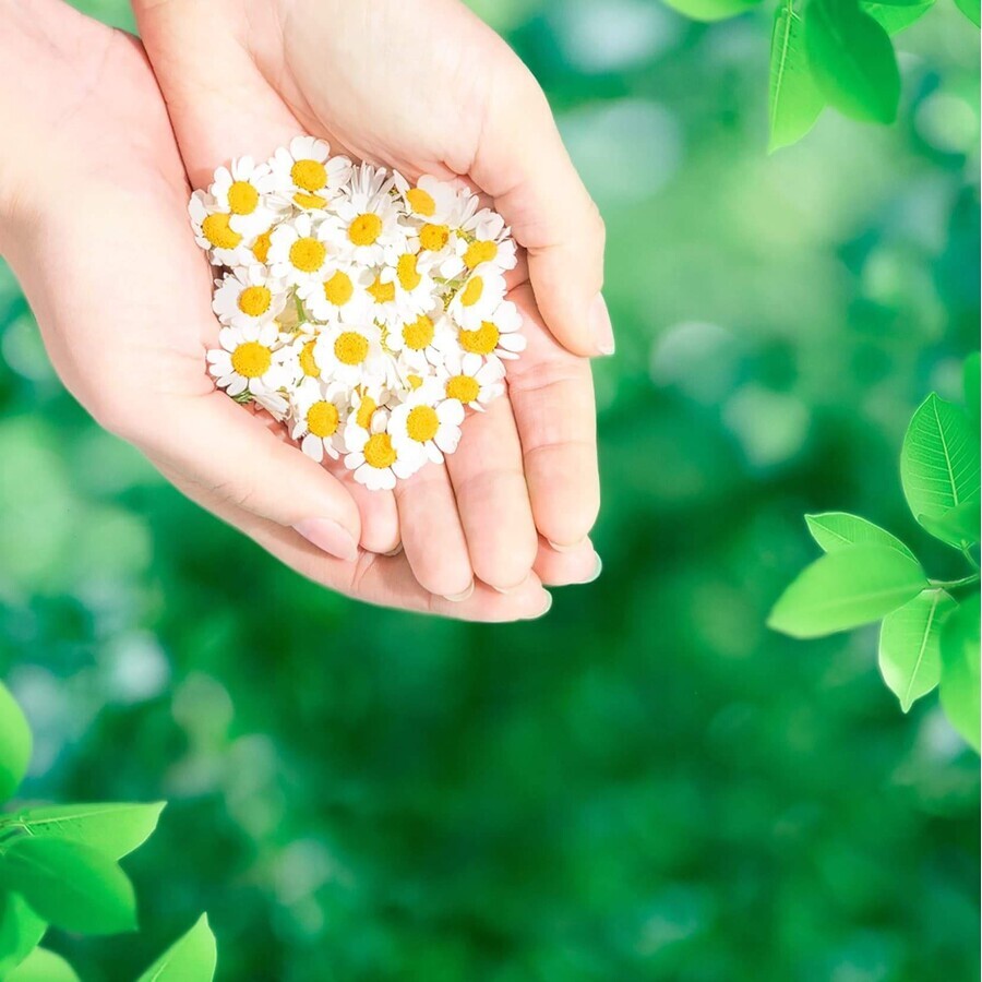 Naturella Ultra Normal compresas con alas 20 unidades