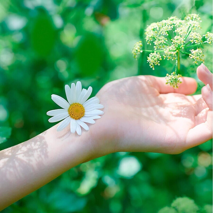 Naturella Ultra Normal compresas con alas 20 unidades