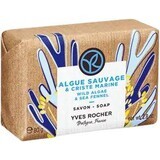 Yves Rocher Alghe e burro di mare 80 g