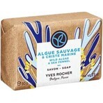 Yves Rocher Alghe e burro di mare 80 g Yves Rocher Alghe e burro di mare 80 g