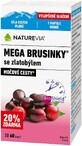 NatureVia Mega blueberries with goldenrod 60 pieces