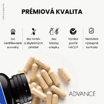 Advance Prostalex Prostate 60 capsules