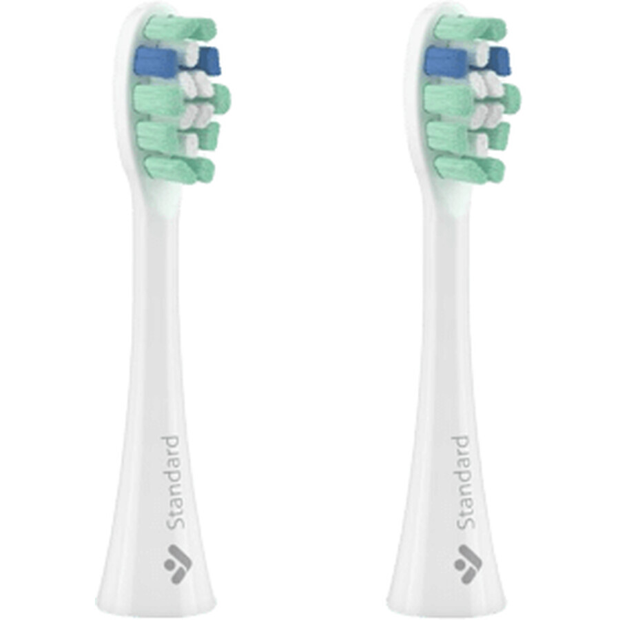 Buy TrueLife SonicBrush SonicBrush Clean-series Standard White 2 pcs TrueLife SonicBrush SonicBrush Clean-series Standard White 2 pcs
