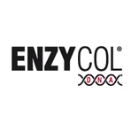 Enzycol ADN 140 cápsulas