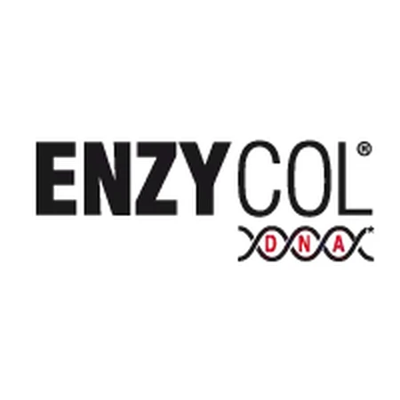 Enzycol ADN 140 cápsulas