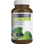 Pharmed New, S.L. Sulforafan Activ 60 capsule Pharmed New, S.L. Sulforafan Activ 60 capsule
