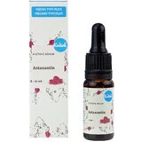 Kvitok Facial Serum - Astaxanthin 10 ml