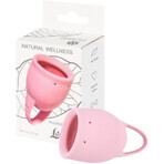 Lola Games Natural Wellness Menstruationstasse Natural Wellness Menstruationstasse Rosa Magnolie 20 ml Lola Games Natural Wellness Menstruationstasse Natural Wellness Menstruationstasse Rosa Magnolie 20 ml