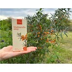 Serafin Multiserafin siroop 200 ml Serafin Multiserafin siroop 200 ml