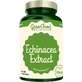 GreenFood Nutrition Echinacea-extract 90 capsules