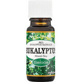 Saloos Eucalyptus - China 10 ml