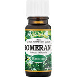 Saloos Orange 10 ml