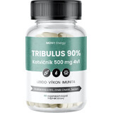 Movit Energy TRIBULUS 90% Sardelle 500 mg 4in1, 60 Kapseln