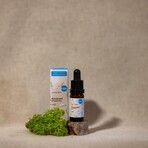 Kvitok Facial Serum - Niacinamide 10 ml