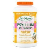 Dr. Popov Psyllium 240 capsules