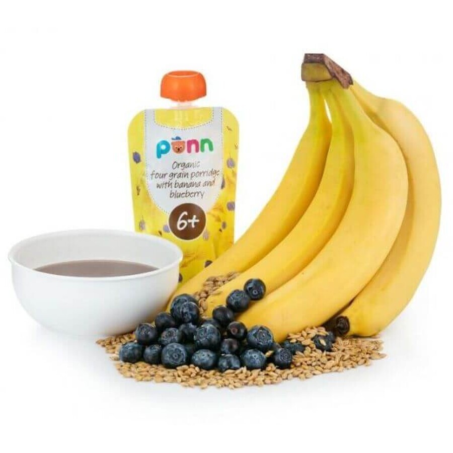 Salvest Põnn Biologische banaan met bosbessen en graanvlokken 110 g