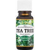 Saloos Tea Tree 10 ml