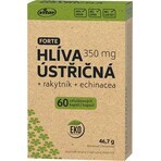 Vitar Oesterzwam + Duindoorn + Echinacea Forte 60 capsules Vitar Oesterzwam + Duindoorn + Echinacea Forte 60 capsules