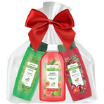 Pachet cadou aromă cosmetice fructe și ierburi 3 buc Pachet cadou aromă cosmetice fructe și ierburi 3 buc