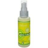 Saloos Natur aroma Airspray Litsea cubeba (natural air freshener) 50 ml