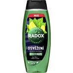 Radox Refreshment gel douche pour hommes 450 ml Radox Refreshment gel douche pour hommes 450 ml