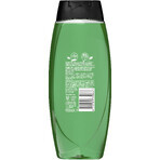 Radox Refreshment gel douche pour hommes 450 ml Radox Refreshment gel douche pour hommes 450 ml