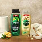Radox Refreshment gel douche pour hommes 450 ml Radox Refreshment gel douche pour hommes 450 ml
