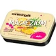 Energit Magnesium Pineapple 42 tablets