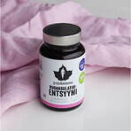 Puhdistamo Enzime digestive 60 capsule Puhdistamo Enzime digestive 60 capsule