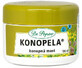 Dr Popov Pomada con c&#225;&#241;amo 100 ml