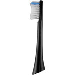 Concept Perfect Smile ZK5001 Brosse à dents sonique avec application et étui de voyage rechargeable Concept Perfect Smile ZK5001 Brosse à dents sonique avec application et étui de voyage rechargeable
