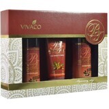 Body Tip ARGAN Arganöl Geschenkpackung mit Arganöl in Papierverpackung 3 Stück