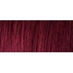 L'Oréal Paris preferenza P37 Prugna pura rosso prugna molto scuro e intenso L'Oréal Paris preferenza P37 Prugna pura rosso prugna molto scuro e intenso