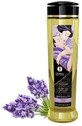 Shunga Sensation Lavender erotic massage oil 240 ml