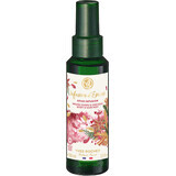 Yves Rocher Spray profumato per corpo e capelli alle spezie di Natale 100 ml