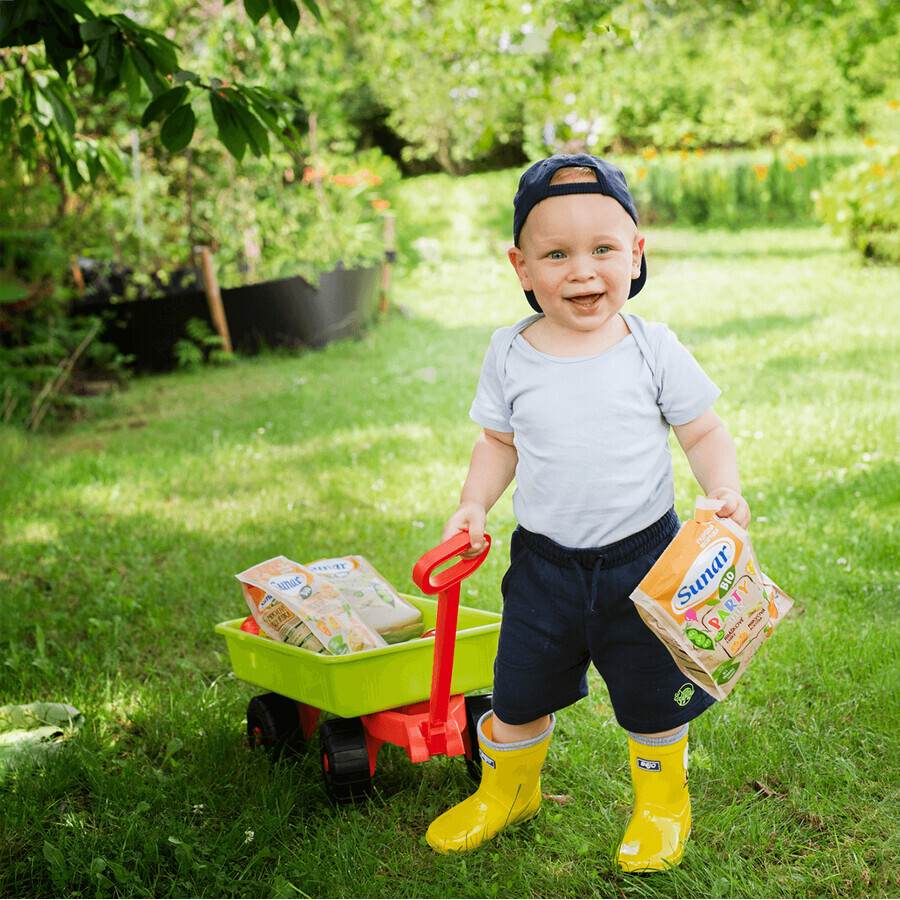 Sunar Croustillants aux pois bio pour enfants 45 g
