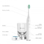 TrueLife SonicBrush Cepillo dental sónico SonicBrush GL GL UV