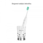 TrueLife SonicBrush Cepillo dental sónico SonicBrush GL GL UV