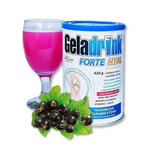 Geladrink FORTE HYAL bevanda al ribes nero 420 g Geladrink FORTE HYAL bevanda al ribes nero 420 g