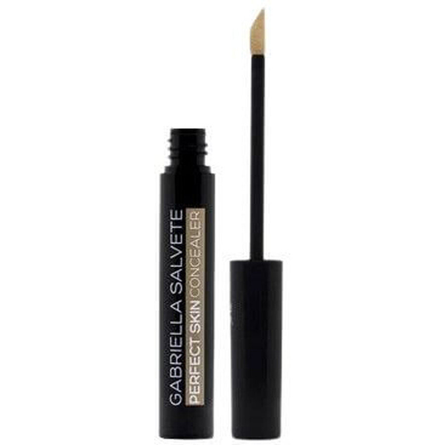 Gabriella Salvete Perfect Skin Concealer 01, 6,2 ml