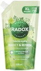 Radox Liquid soap with antibacterial ingredient Protect + Refresh 500 ml