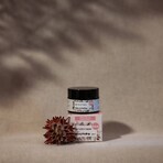Kvitok Rosehip Peel for Mature Skin 30 ml