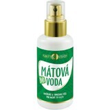 Purity Vision Organic Mint Flower Water 100 ml