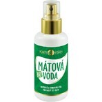 Purity Vision Agua Floral de Menta Ecológica 100 ml Purity Vision Agua Floral de Menta Ecológica 100 ml