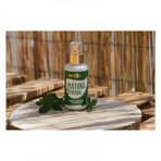Purity Vision Agua Floral de Menta Ecológica 100 ml Purity Vision Agua Floral de Menta Ecológica 100 ml