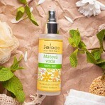 Saloos 100% biologisch pepermuntwater 100 ml Saloos 100% biologisch pepermuntwater 100 ml