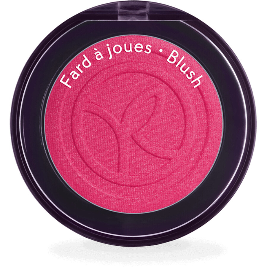 Yves Rocher Colore per guance ultra pigmentato Rosa Fucsia 2,7 g