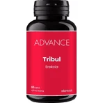 Advance Tribul 60 gélules