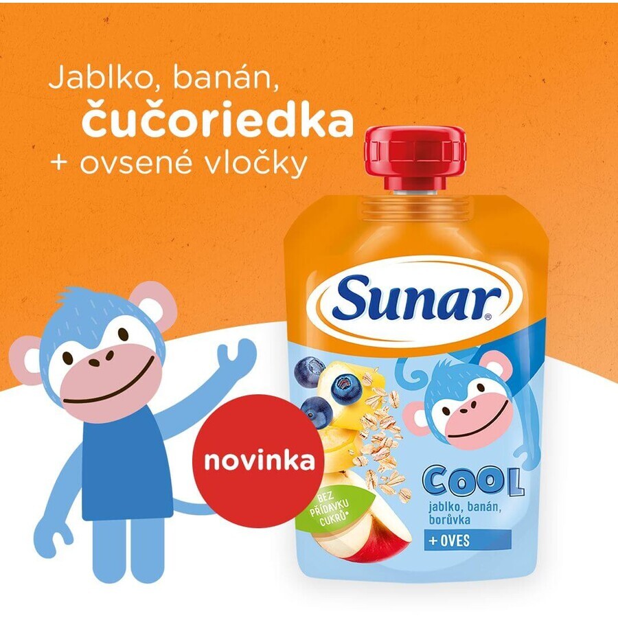 Sunar Koudfruitcapsule bosbes, banaan, havervlokken 12m+ 110g